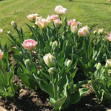 De La Hertaudiere Feriehus Montbizot