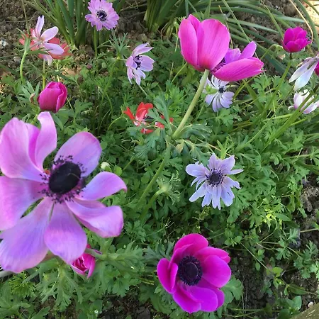 Feriehus De La Hertaudiere *