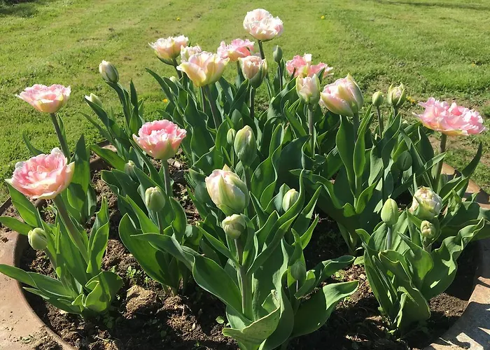 De La Hertaudiere Сasa de vacaciones Montbizot