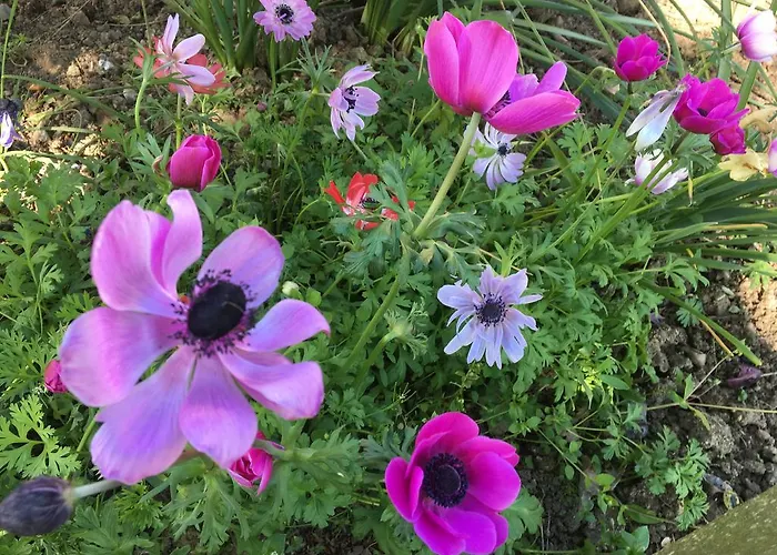 Сasa de vacaciones De La Hertaudiere *